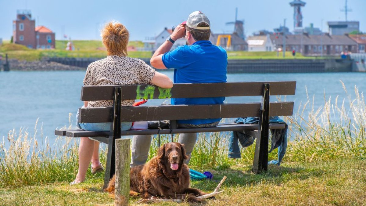 De BuitenBeter-app: melding over straatmeubilair, zo werkt het!