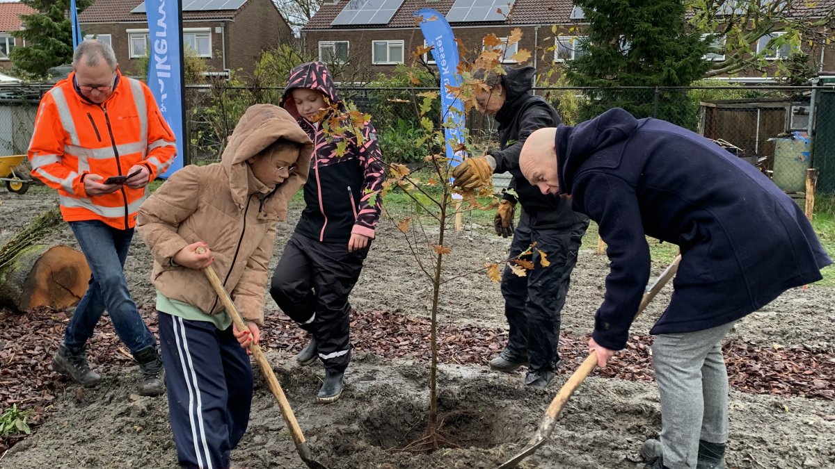 Eerste boom van een nieuw ‘klein bos’ op 19 november 2025 gepland