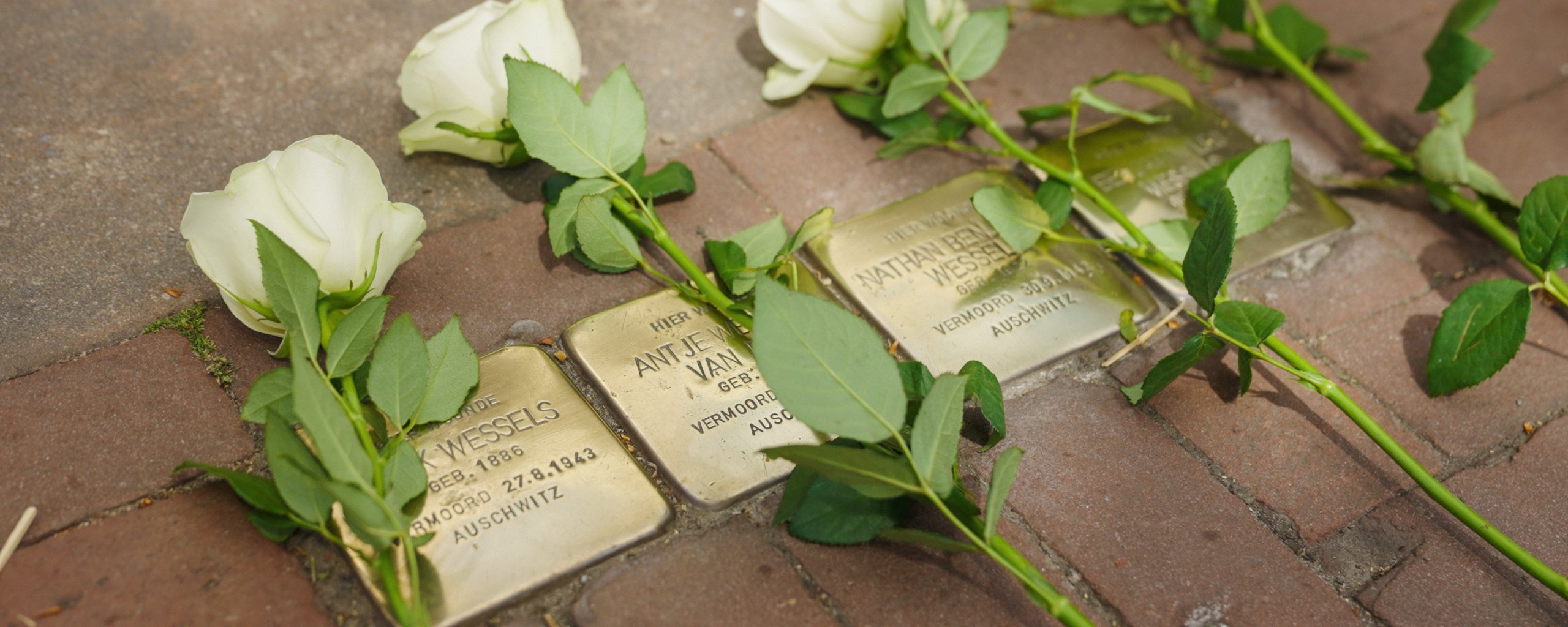 Bloemen gelegd bij Stolpersteine