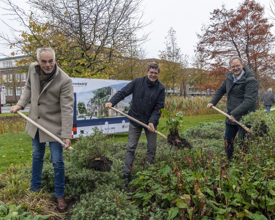 Links wethouder Daan van Orselen samen met aan de rechterkant wethouder Robert van der Kooi graven vaste planten uit de grond aan het park de Ruy