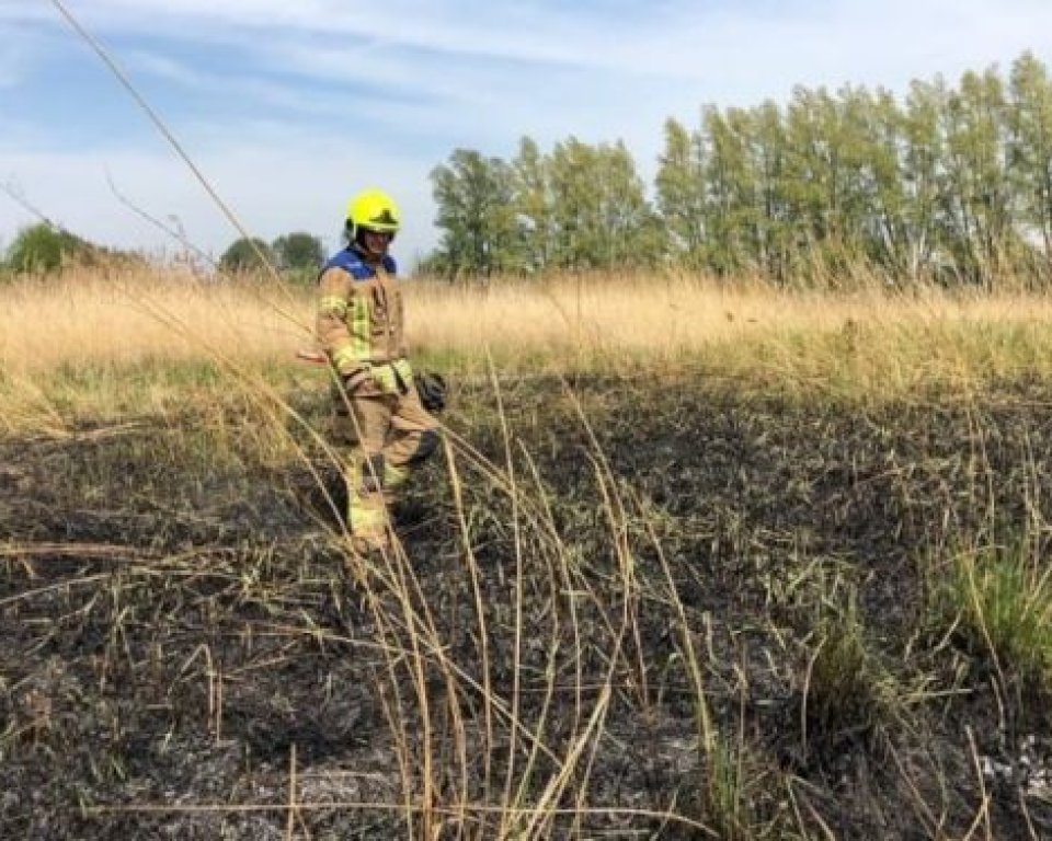 Natuurbrand met brandweerman