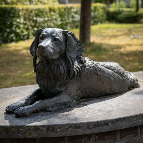 Kunstwerk "Jet de Kooikerhond" van Gerda van den Bosch aan de Essenlaan in Voorschoten.