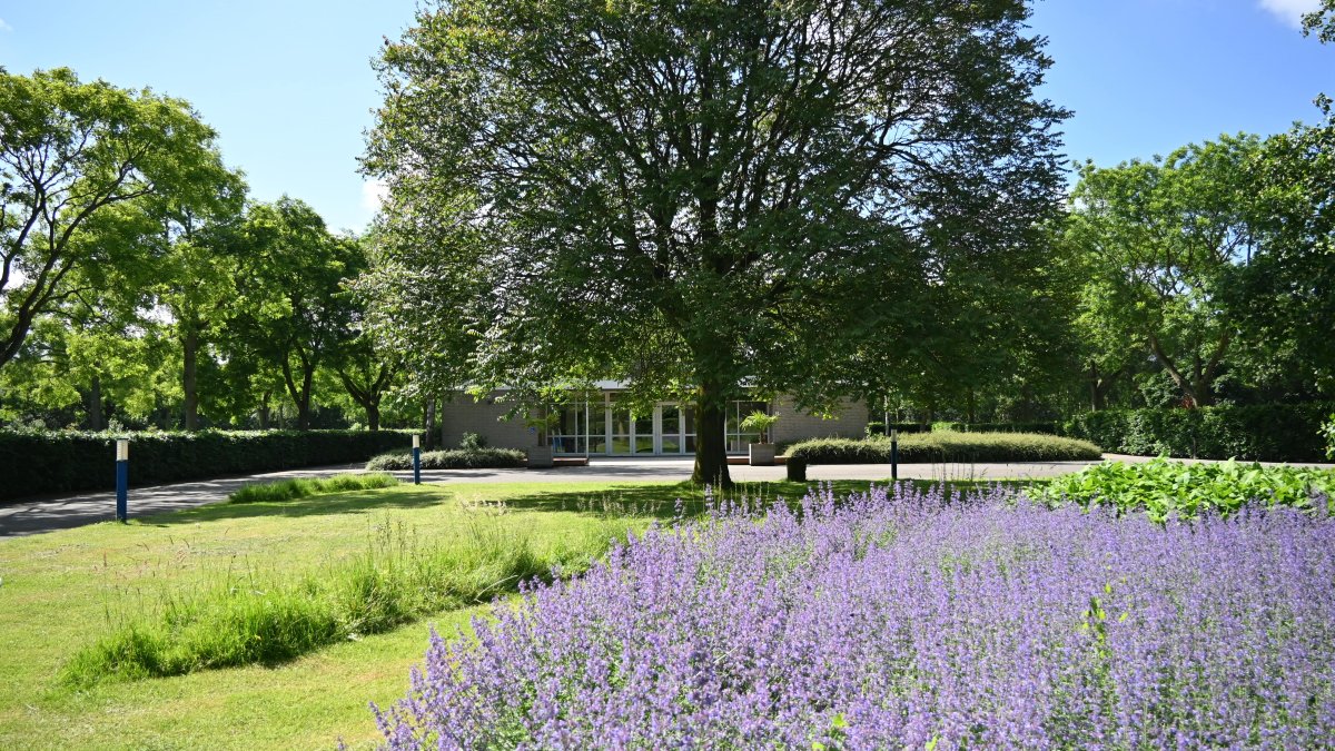 Inloopavond gedenkpark Rosenburgh op donderdag 5 juni
