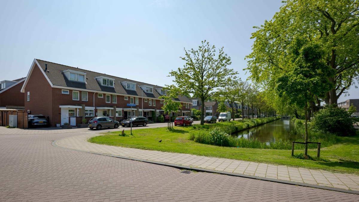 Overstort rioolwater in sloot bij Albert Schweitzerplantsoen