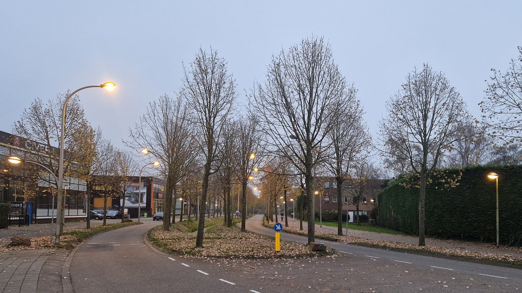 Een straat met bomen in Voorschoten