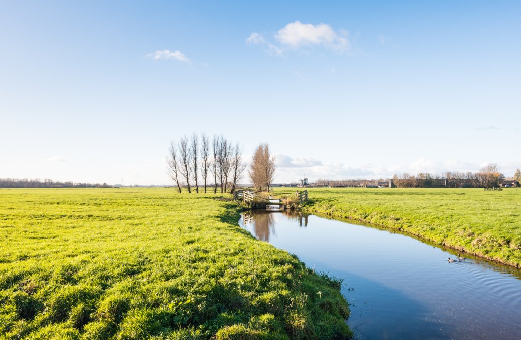 Sfeerbeeld: weiland met water