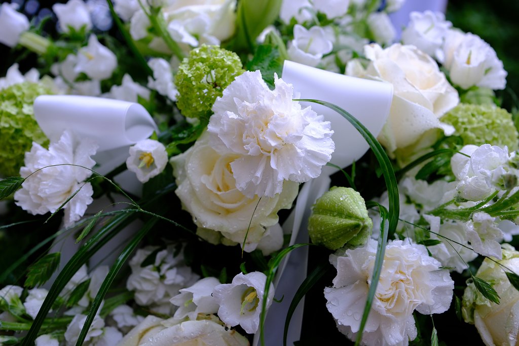 Witte bloemen