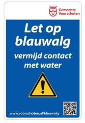 Blauwalg 