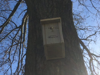 Foto van vogelhuis aan een eikenboom, in de bestrijding tegen de eikenprocessierups.
