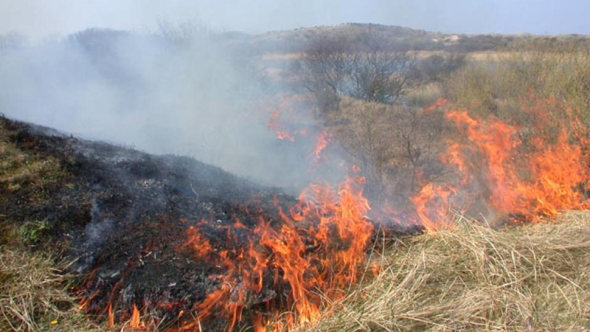 Verhoogd natuurbrandrisico in onze regio