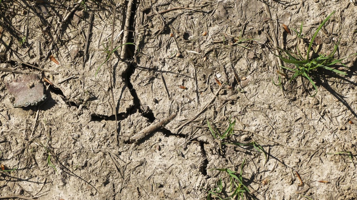Droogte; gebruik water bewust
