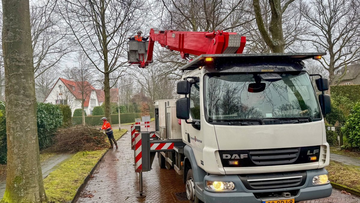 Werkzaamheden groenvoorziening De Kieviet