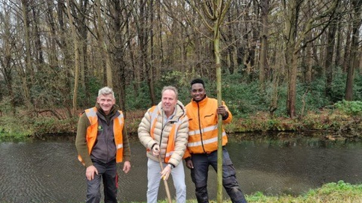 Gemeente Wassenaar vervangt zieke bomen: nieuwe aanplant in volle gang