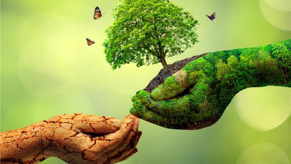 Klimaatweek Wassenaar: 10 tot 16 november 2025