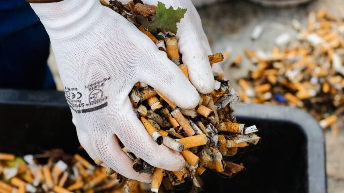 Gemeente Wassenaar spreekt zich uit tegen sigarettenfilters