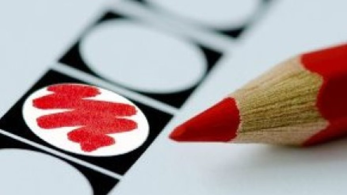 Volg hier de uitslag van de gemeenteraadsverkiezingen