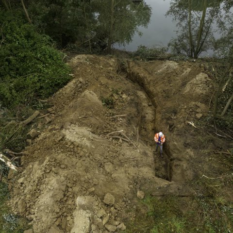 Beverholen in de Waaldijk bij Wamel, 2022.