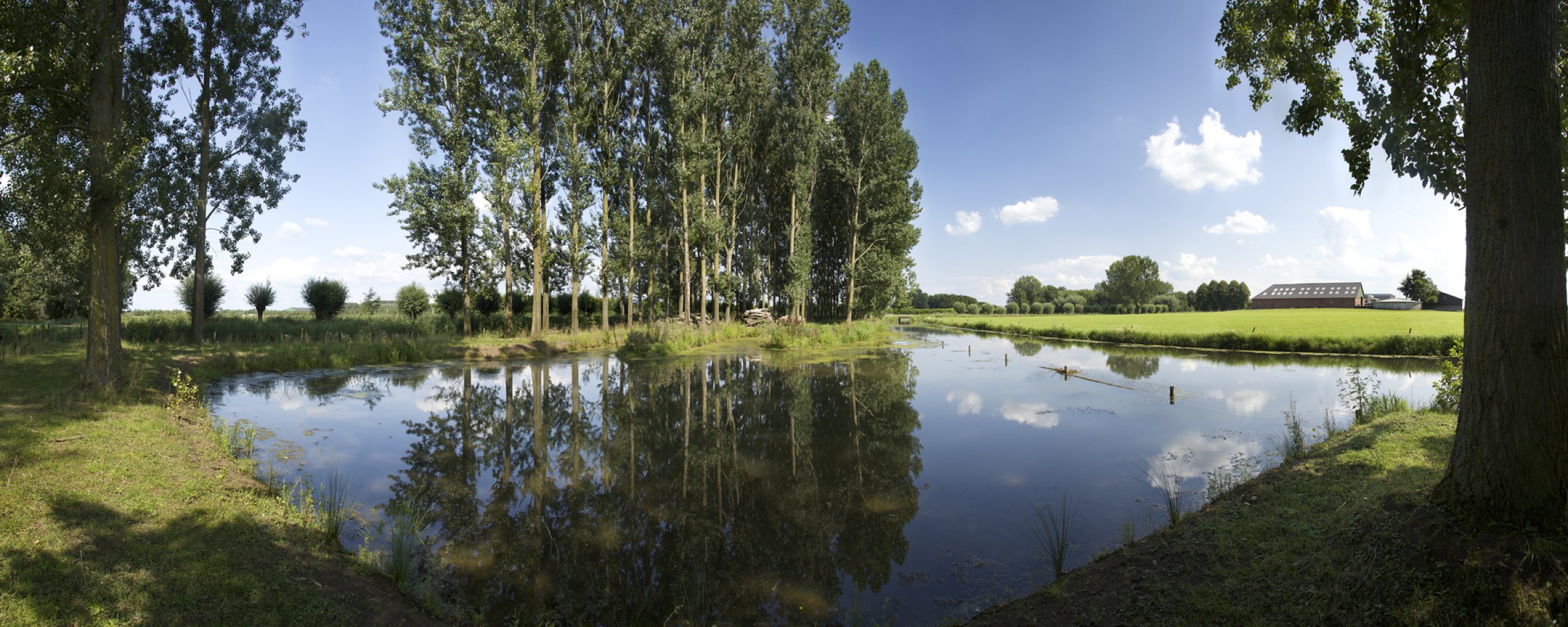 oppervlaktewater met bomen