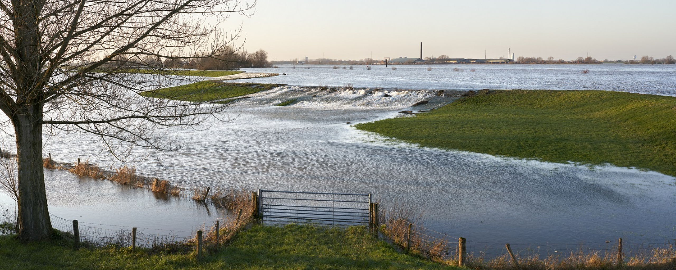 Hoogwater