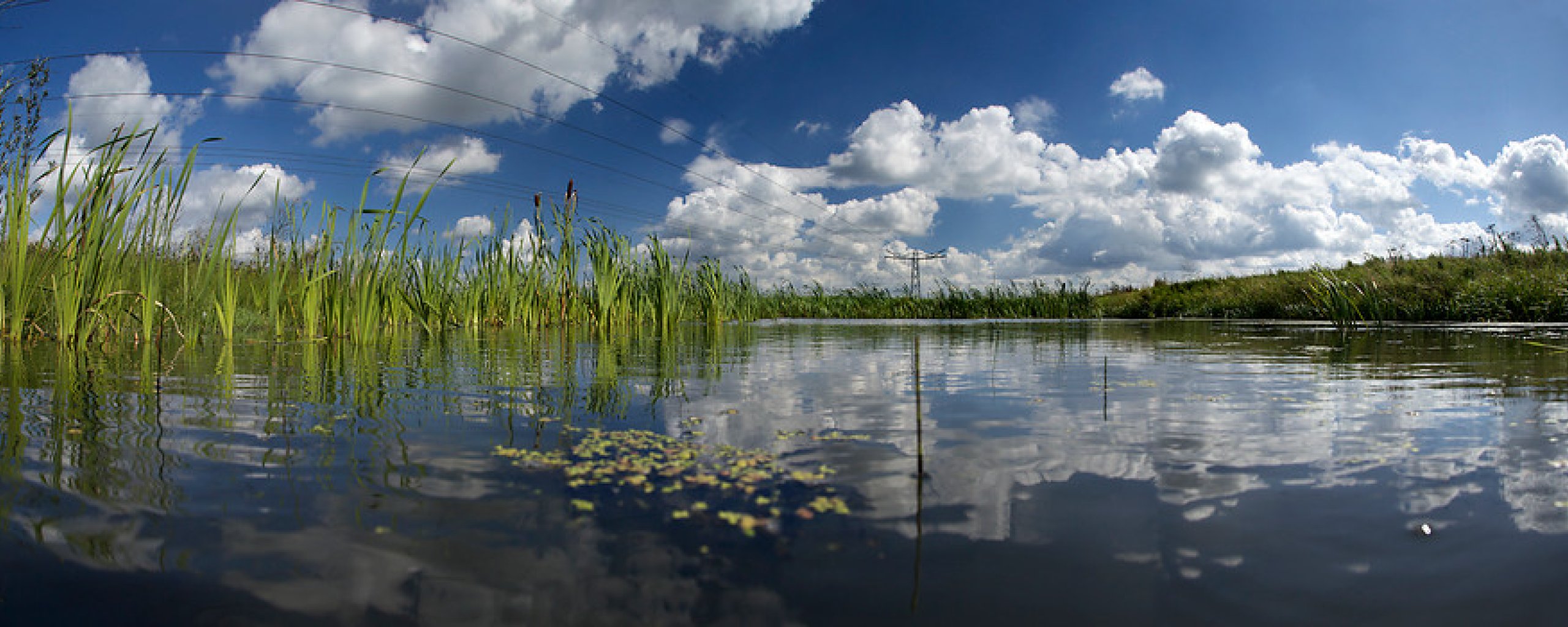 Natuurvriendelijke oever