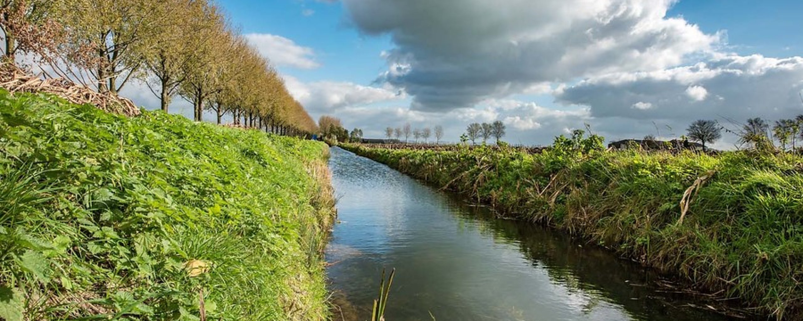 sloot in landschap