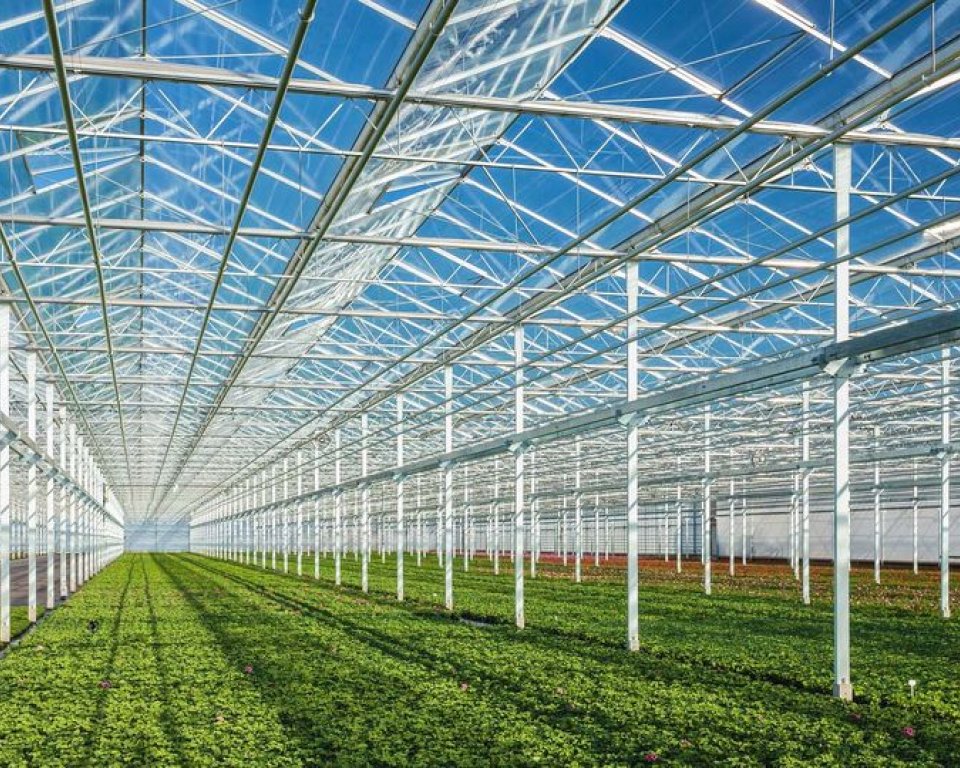 Kas glastuinbouw