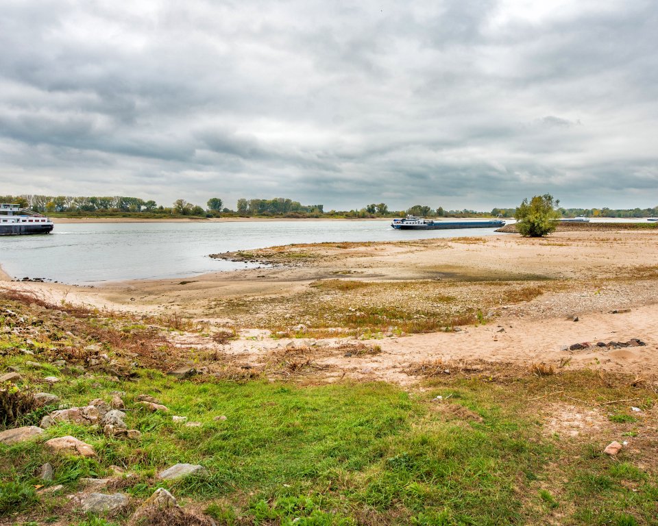 Laagwater op de Rijn