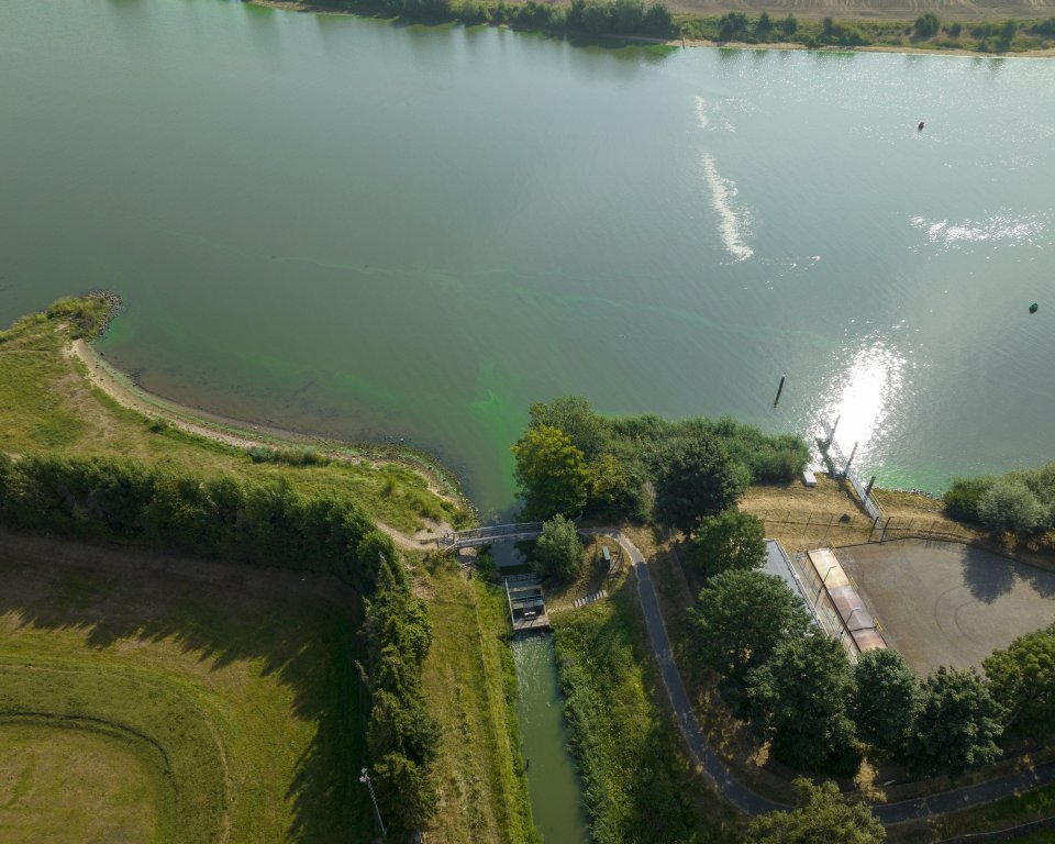 Blauwalg bij Wijk en Aalburg in 2022