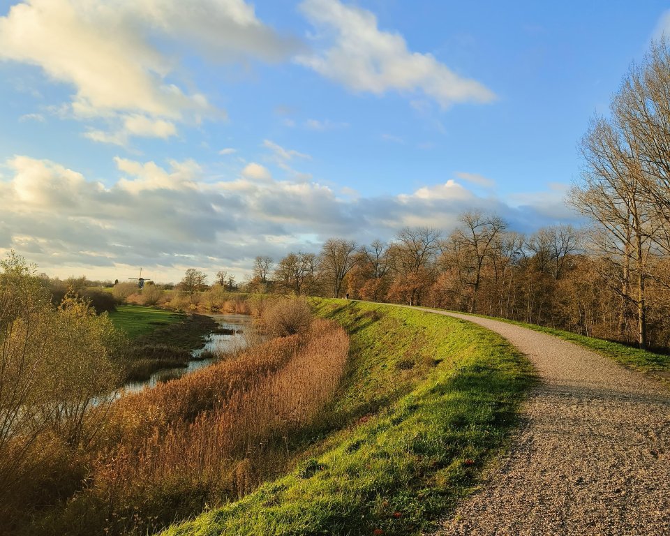 Dijk vlakbij Waardenburg