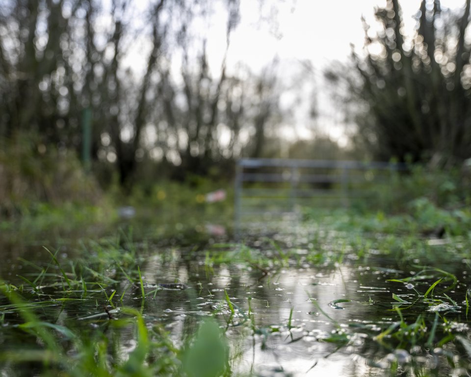 Waterbericht