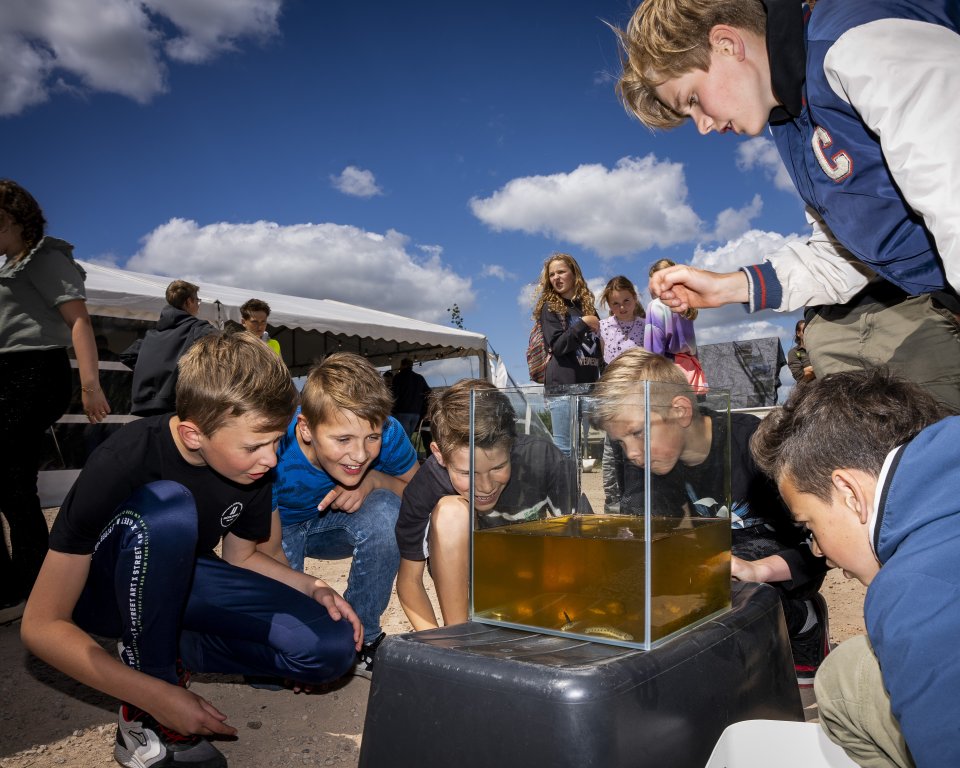 Pompveld opening