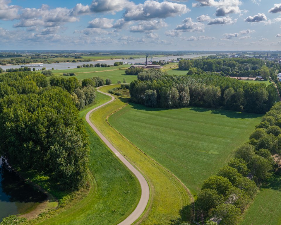 Een dijk met een weg erover slingert door een landschap met weide en bomen. Op de achtergrond zie je de rivier stromen.