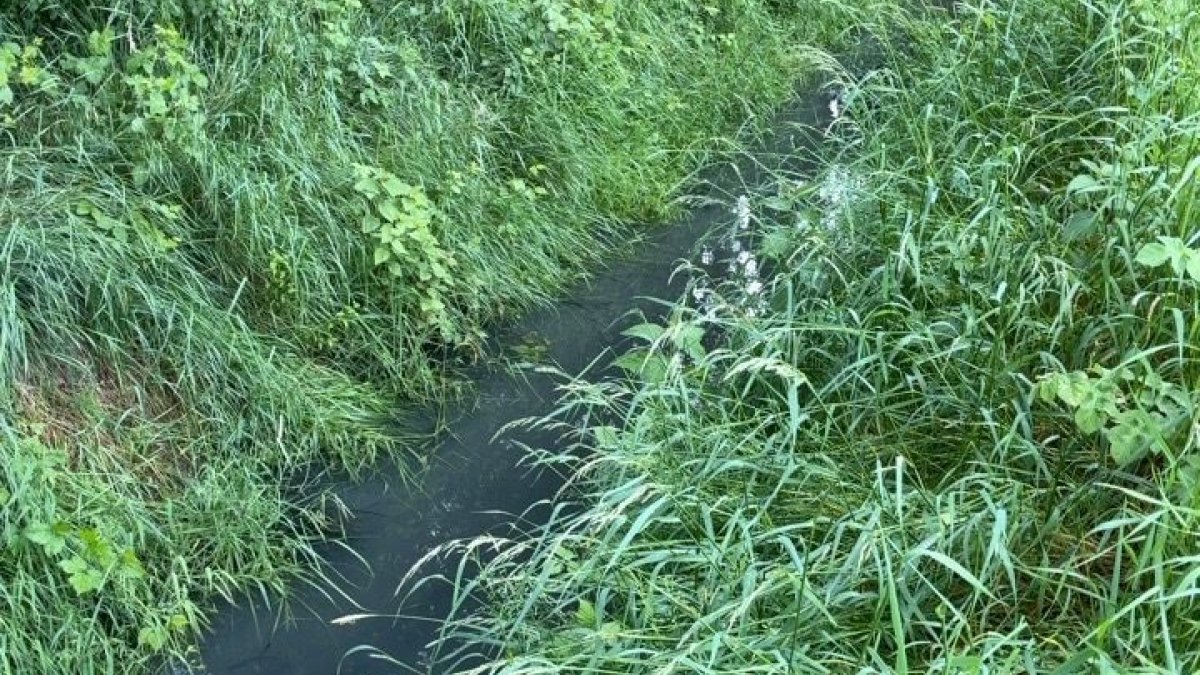 Minder water in sloten Niftrik na vervuiling