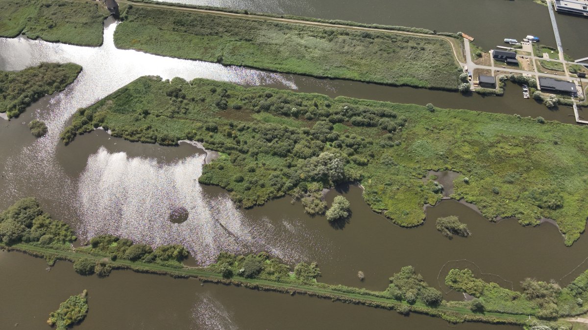 Natuurherstelmaatregelen Boezems Kinderdijk