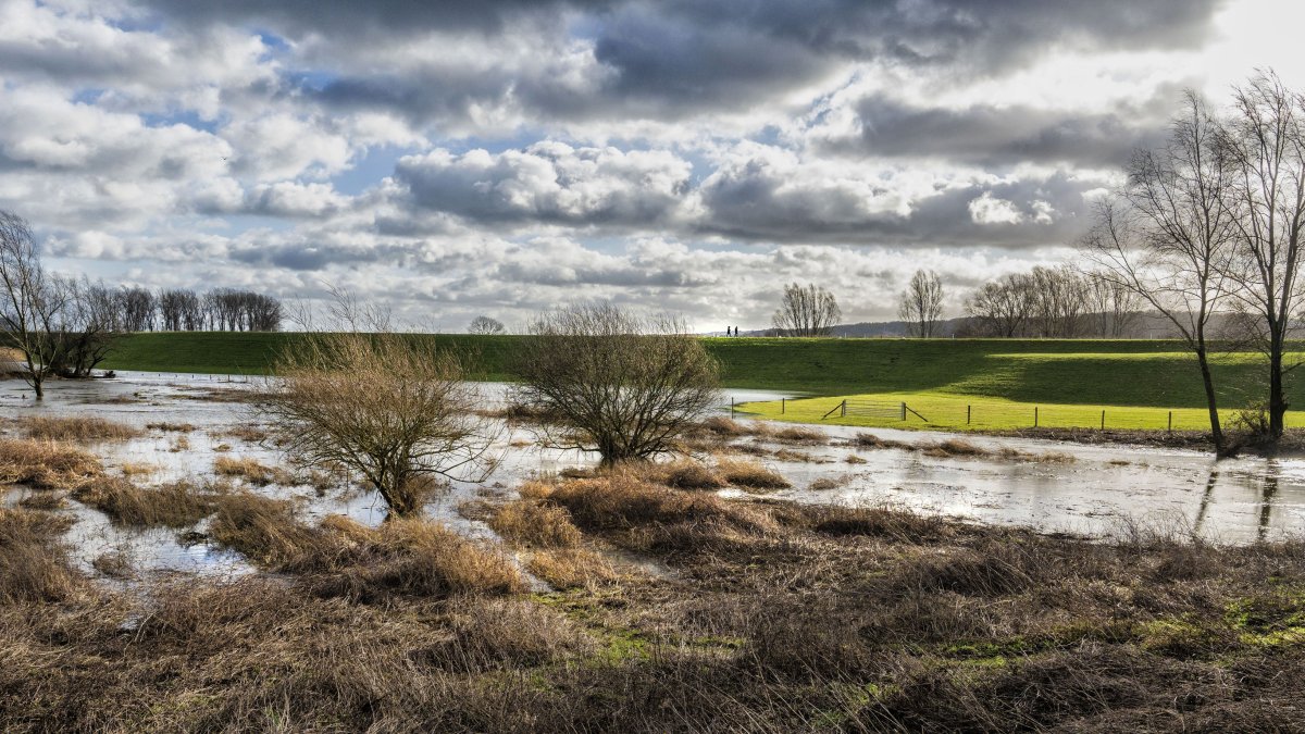 Waterschap Rivierenland en Hogeschool Van Hall Larenstein versterken samenwerking