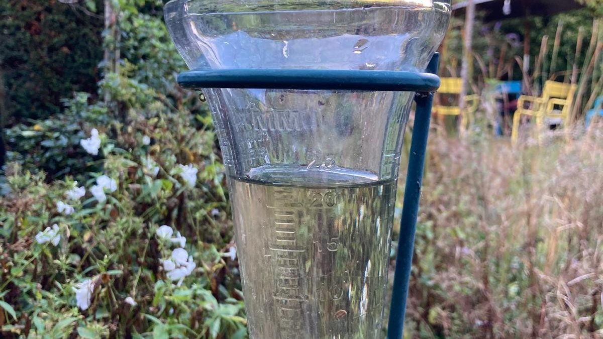 Waterbericht: Regen vult aan, we hoeven weinig water in te laten