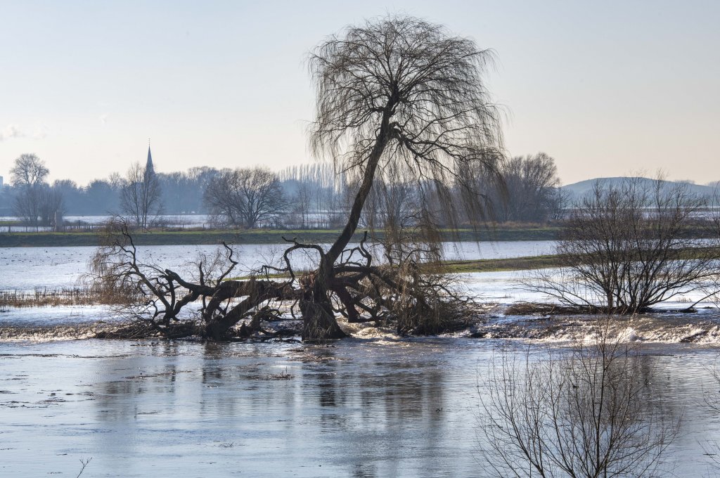 De Loenensche Buitenpolder. (Peter Venema)