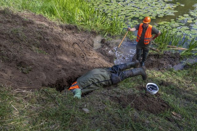 Bever Dodewaard 2018