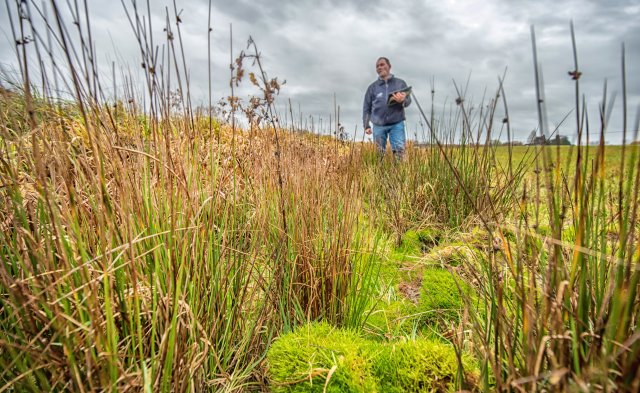 waterschapper in het veld tijdens de schouw