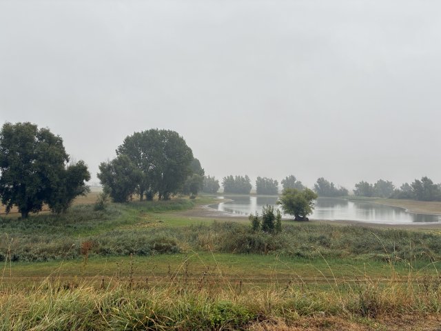 Plaatsen pompen bij Waalsprong