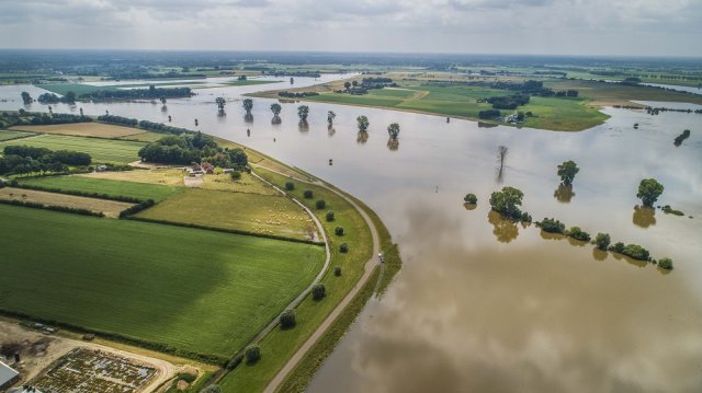 De Maas bij Balgoij