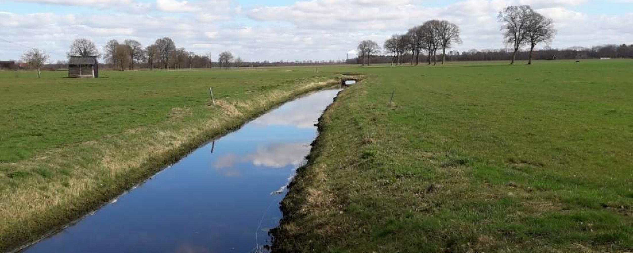 Boerenveensche Plassen