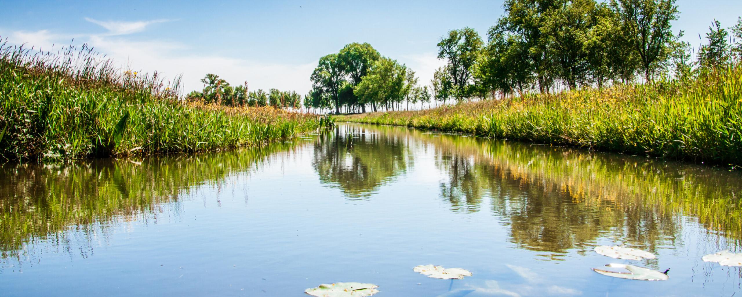 Waterschapsverkiezingen op 15 maart 2023 Waterschap Drents Overijsselse Delta Waterschapsverkiezingen op 15 maart 2023 Waterschap Drents Overijsselse Delta