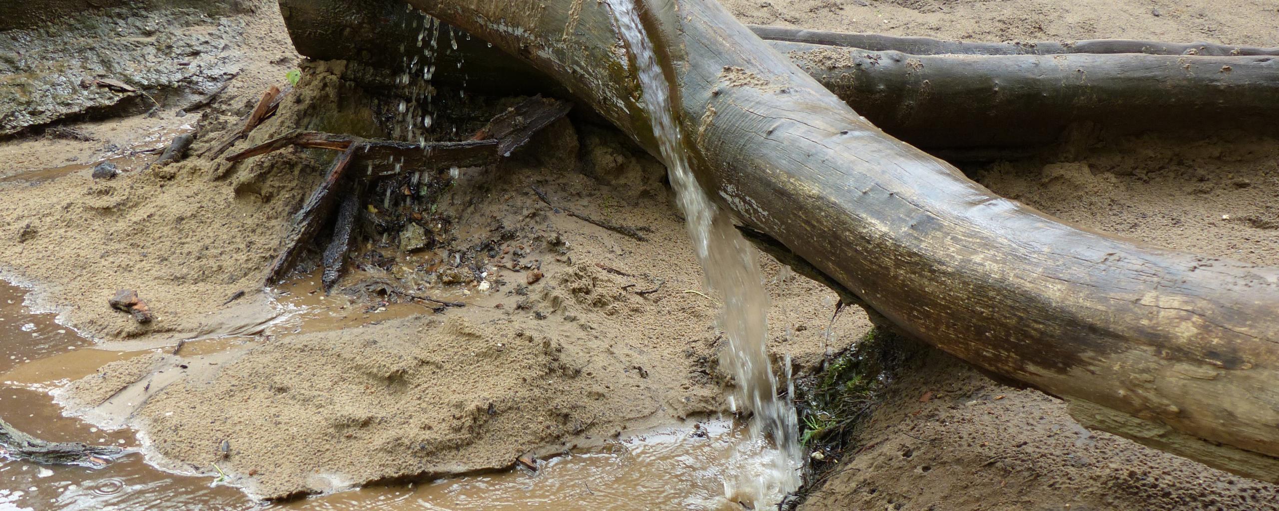 Water stroomt uit boomstam via waterpomp op het schoolplein