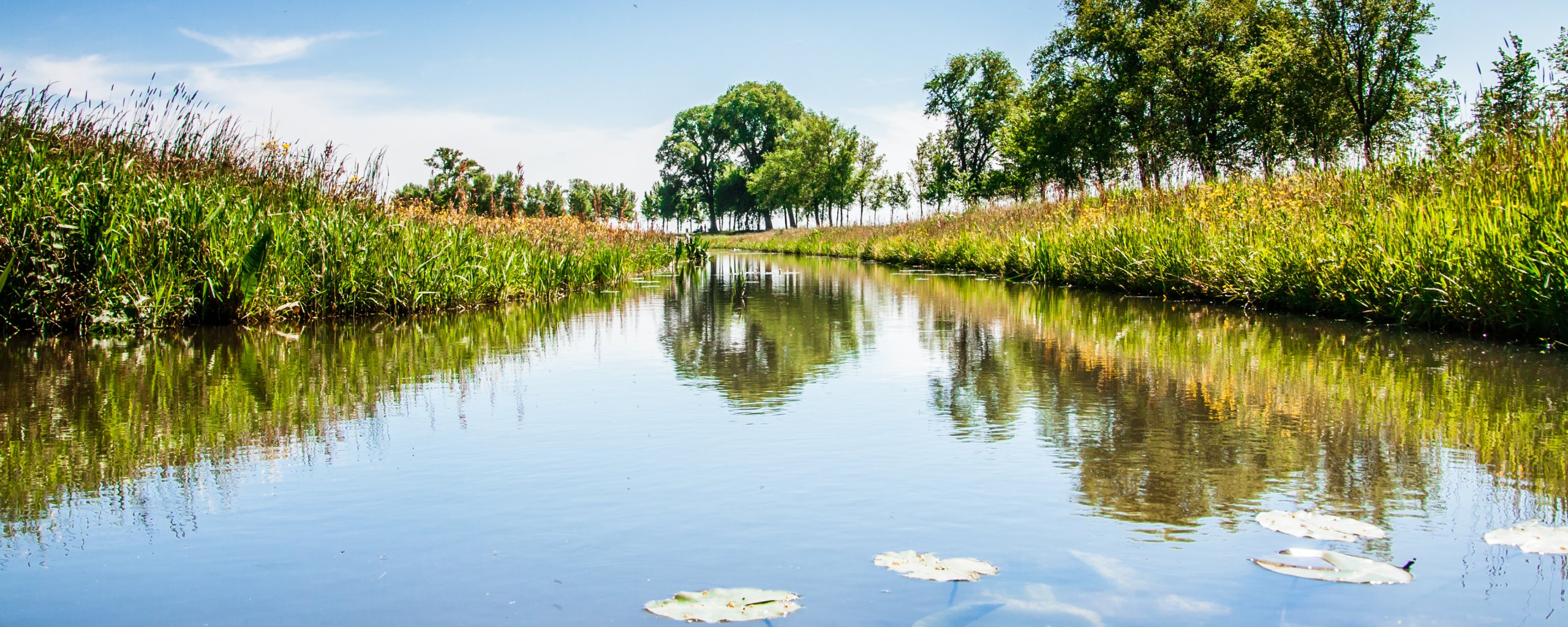 Foto Waterberging Marswetering