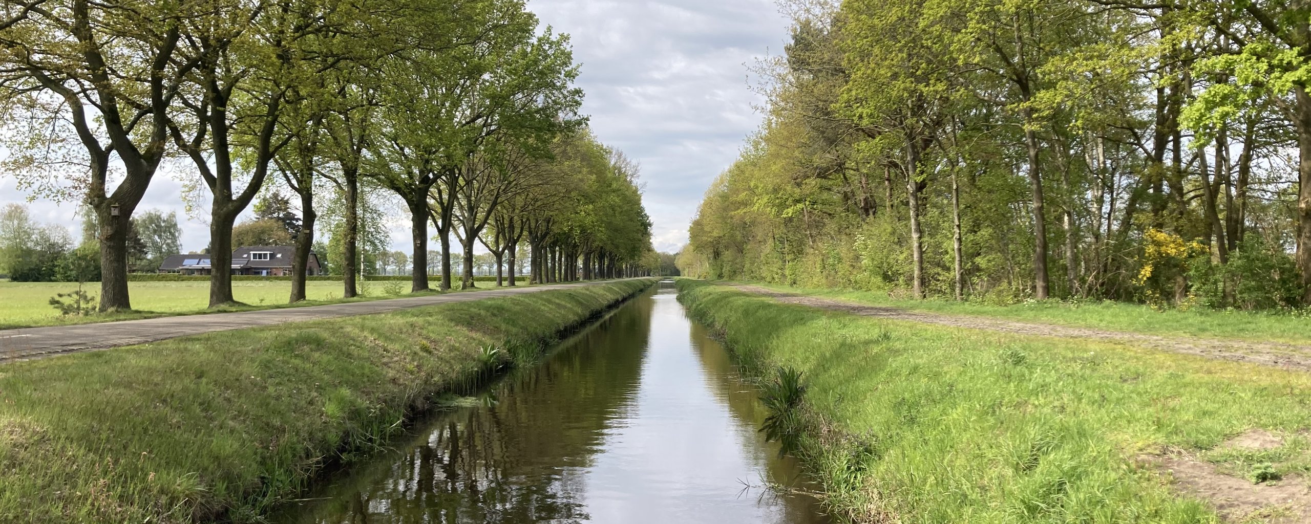 Sloot De Stouwe tussen Oudleusen en Ommen met bomen en een weg aan de zijkant