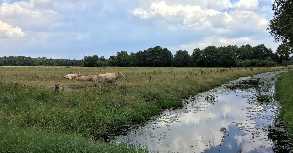 Project: Krachtig Watersysteem Brongebied Oude Diep Midden-Drenthe ...