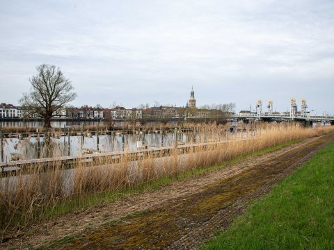 Foto van Kampen en de IJssel vanaf de dijk