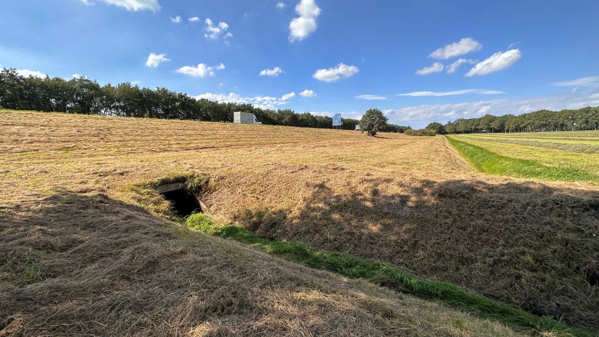 Boerenveensche Plassen, Hoogeveen/Pesse
