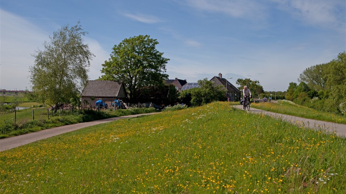 Gemeente Zwolle en waterschap verbeteren fietspaden op IJsseldijk